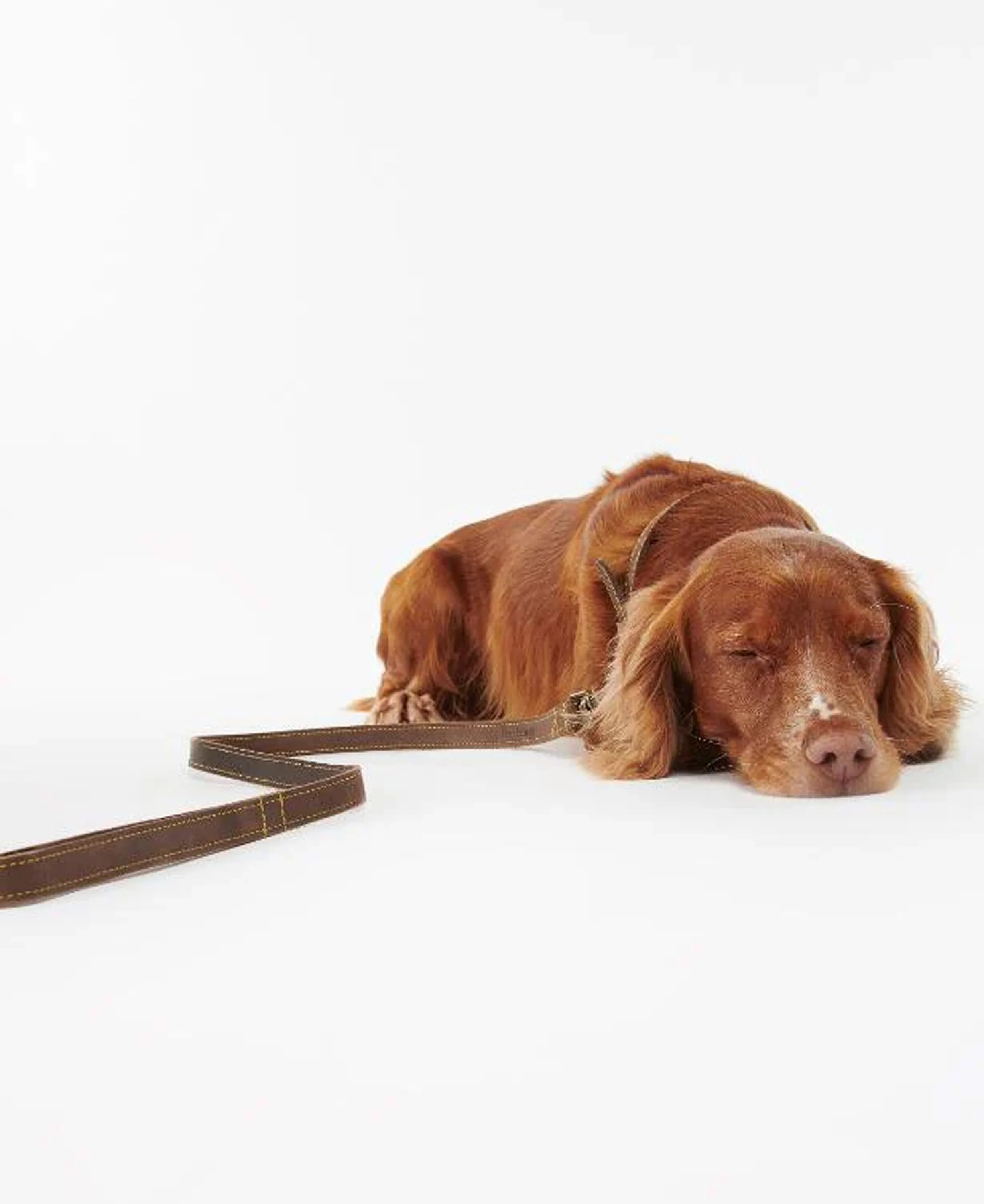 Leather Dog Lead - Brown - Image 4